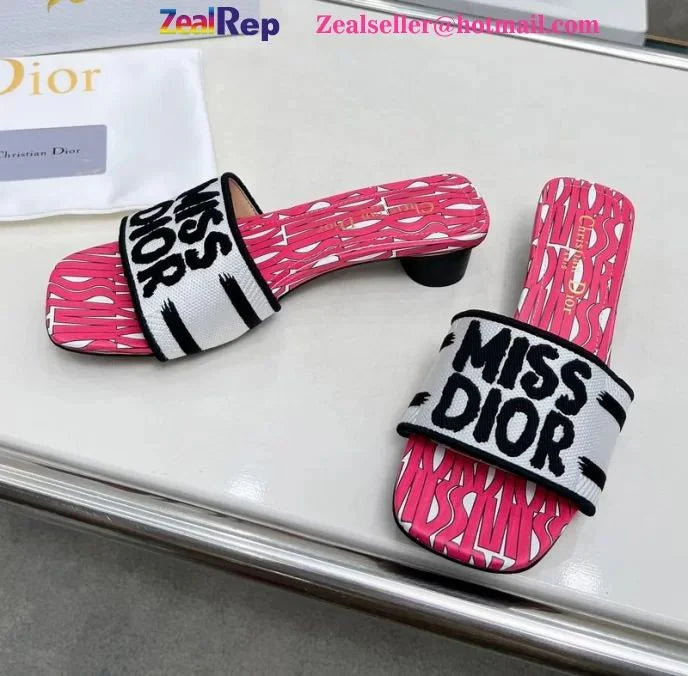 DIOR ELEGENT FLOPS
